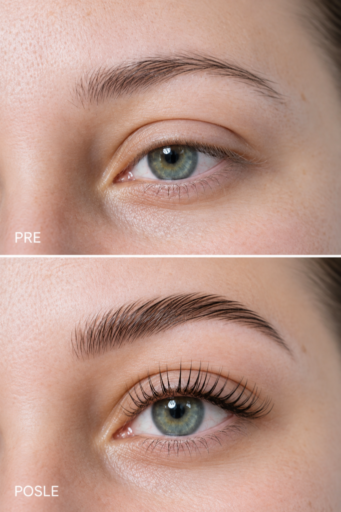 lash lift i brow lift edukacija draženka dada popov